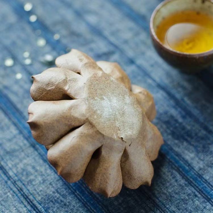 Crude Clay Hand-Pinched Lotus Incense Holder/Backflow Incense Burner